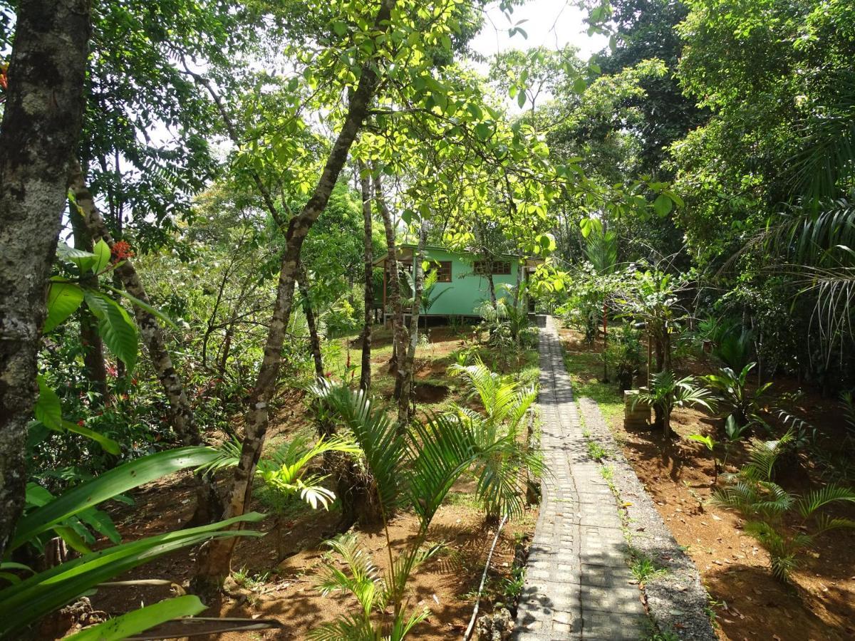 Casa Jade Hostel Drake Bay Exterior photo