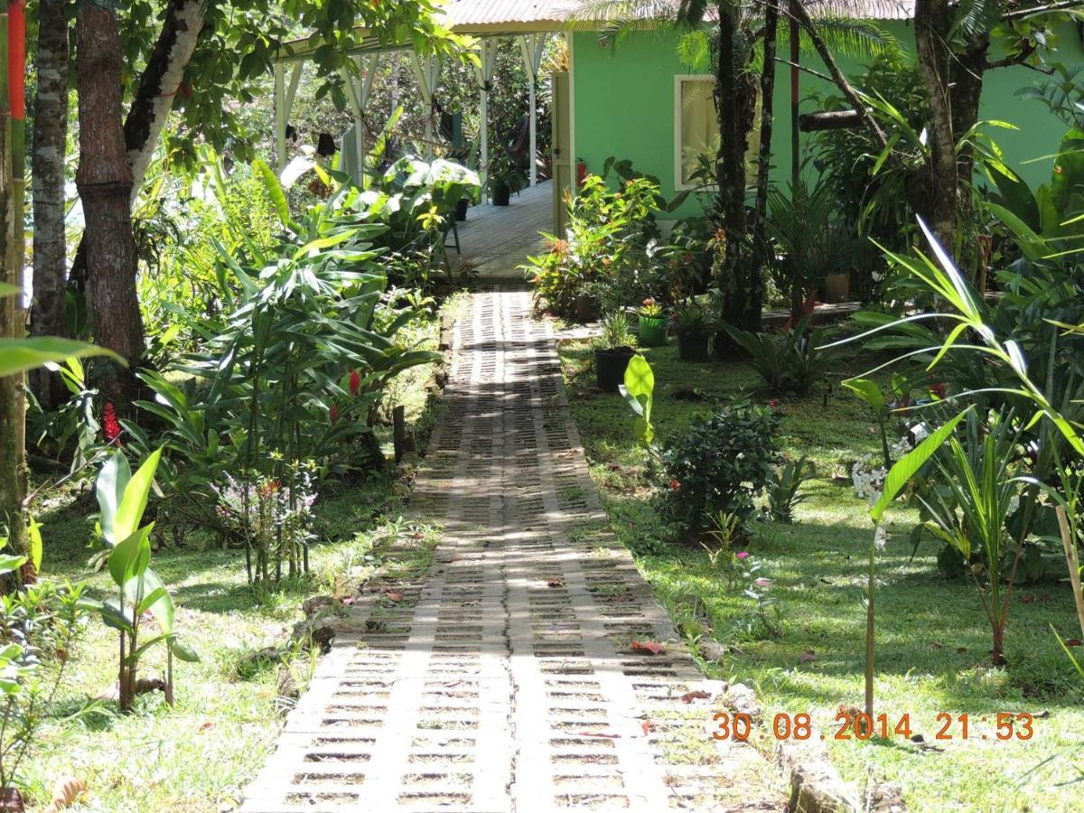 Casa Jade Hostel Drake Bay Exterior photo