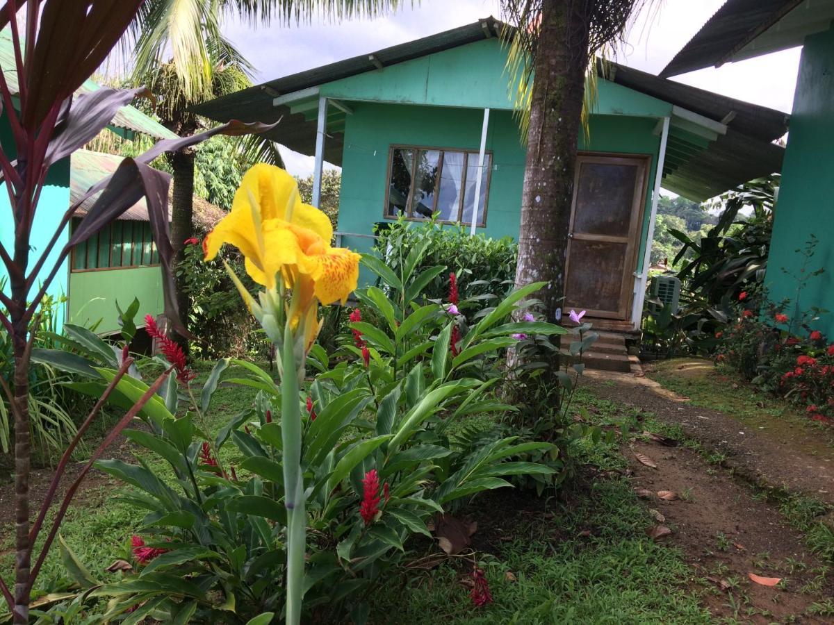 Casa Jade Hostel Drake Bay Exterior photo