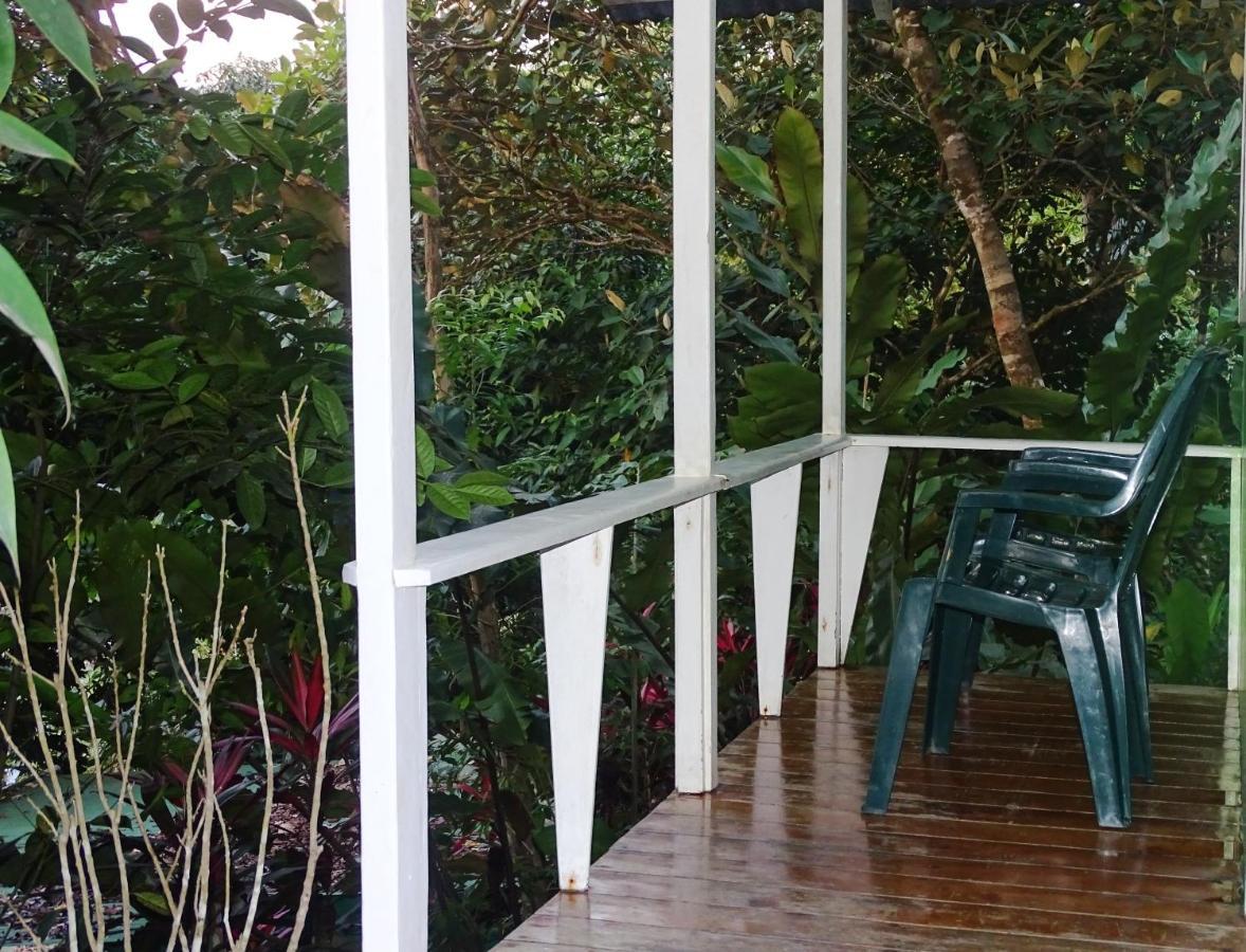 Casa Jade Hostel Drake Bay Exterior photo