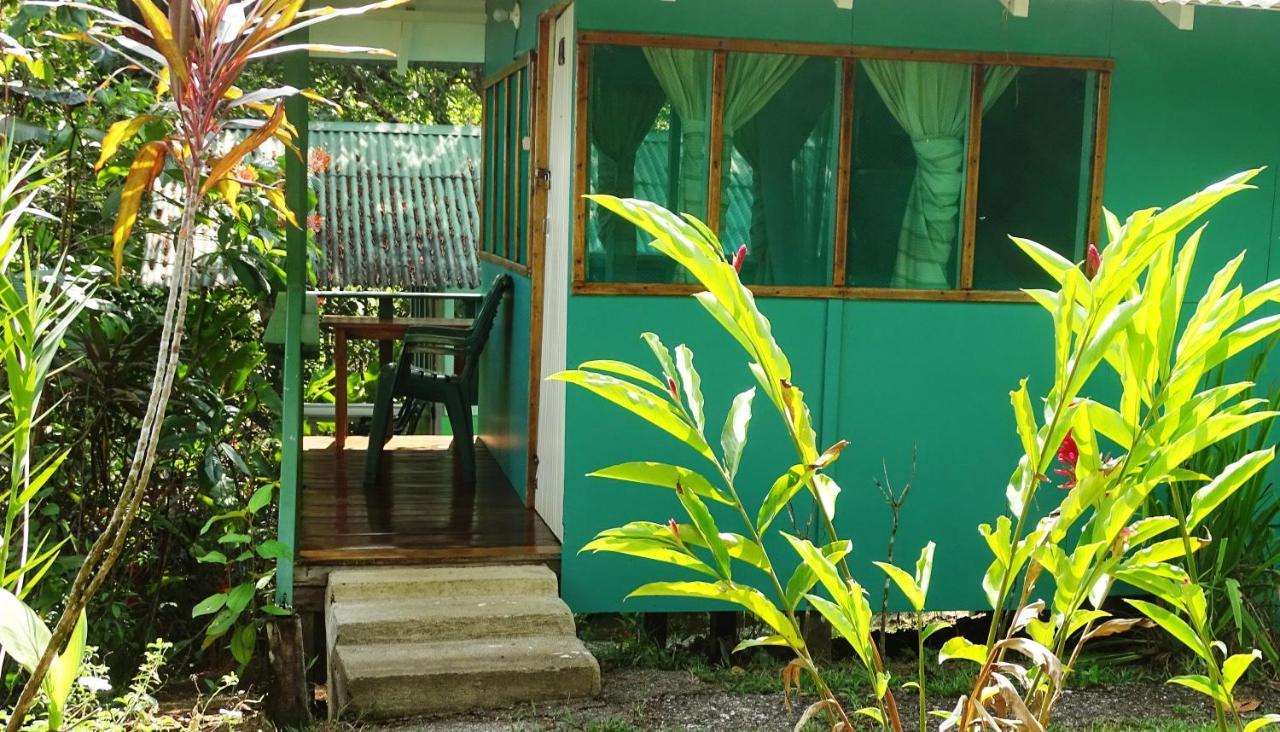 Casa Jade Hostel Drake Bay Exterior photo