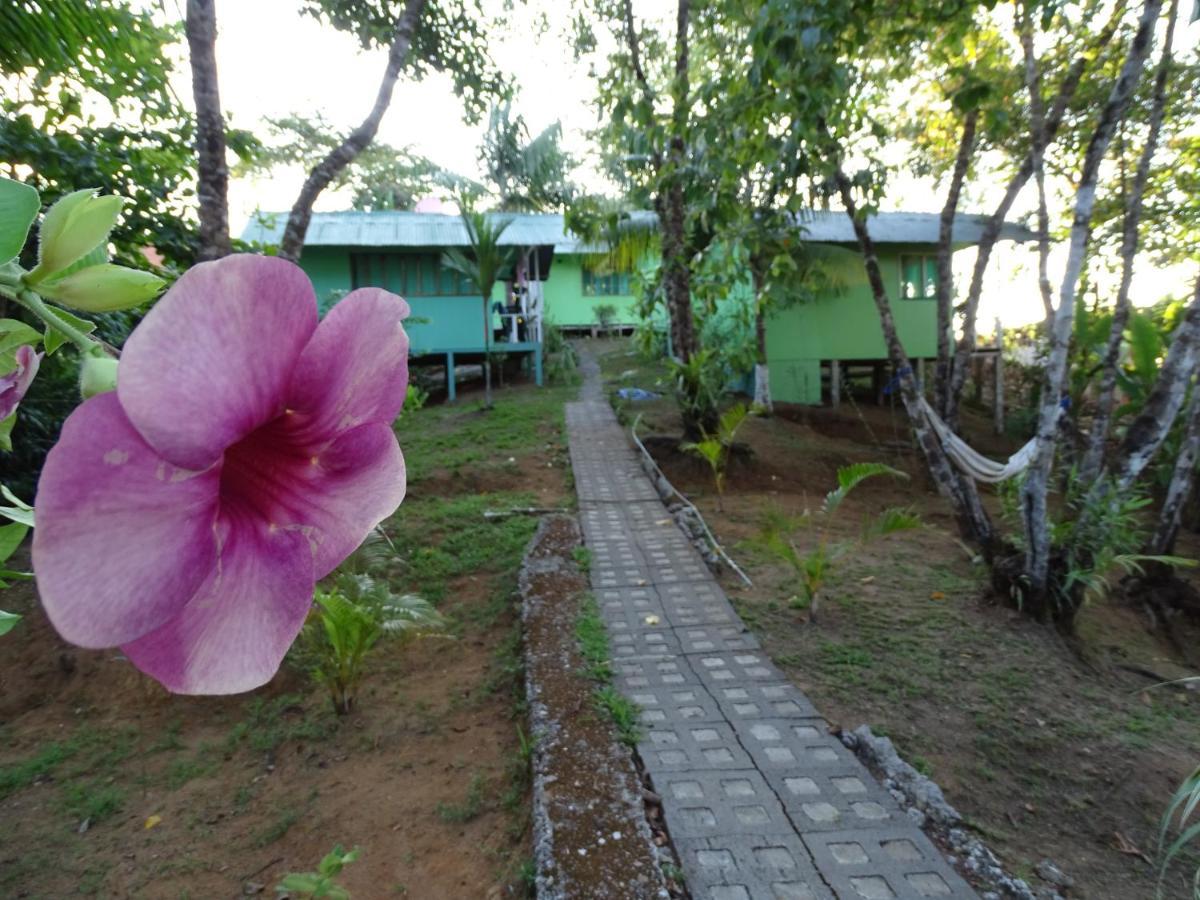 Casa Jade Hostel Drake Bay Exterior photo